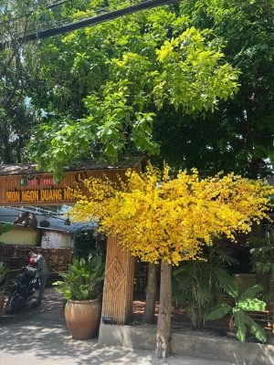 Cung cấp cây giả tại quận Phú Nhuận