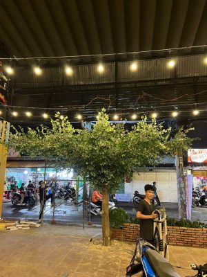 Cung cấp cây giả tại quận Phú Nhuận