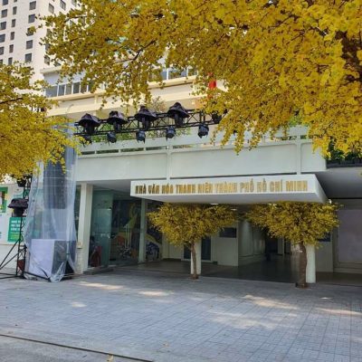 Cung cấp cây giả tại quận Tân Bình